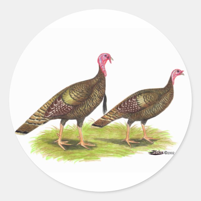 Adesivo Turquia: Bronze Selvagem (Frente)