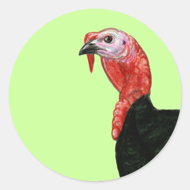 Adesivo Turquia: Cabeça de Tom Negro (Frente)