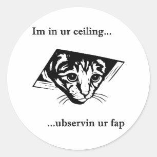 Adesivo Ubservin u do gato do teto…