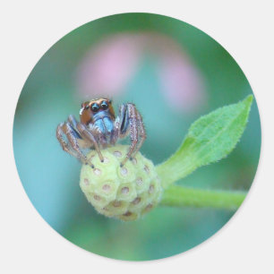 Adesivo Um Amigo para Jumping Jack!