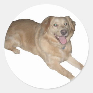 Adesivo Um cão feliz!