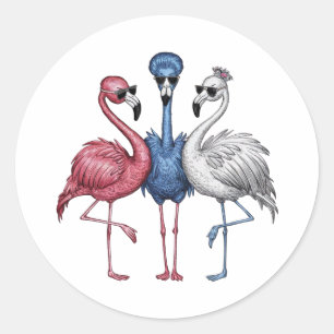 Adesivo Um com três flamingos únicos que são bastante