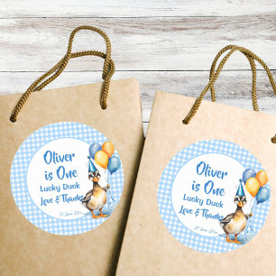 Adesivo Um favor de aniversário de gingham azul-pato sortu