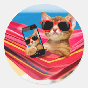 Adesivo Um gatinho bonito estava deitado numa rede
