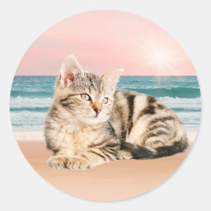 Adesivo Um gato listrado mais fofo sentado na praia com o 