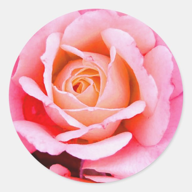 Adesivo Um Rosa é um Rosa (Frente)