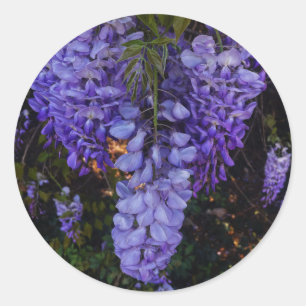 Adesivo um toque lindo da natureza