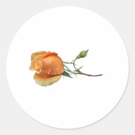 Adesivo Um único corte de rosa
