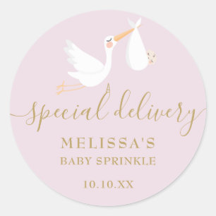 Adesivo Uma entrega especial de cegonha Baby Shower/Chuva