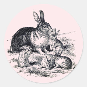 Adesivo Uma família de coelhos - ilustração da safra