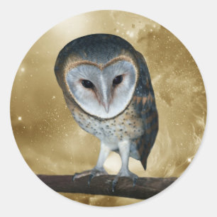 Adesivo Uma fantasia pequena bonito da coruja de celeiro