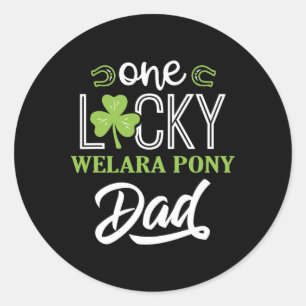 Adesivo Uma Lucky Welara Pony Horse Pai Irlandês Horseback