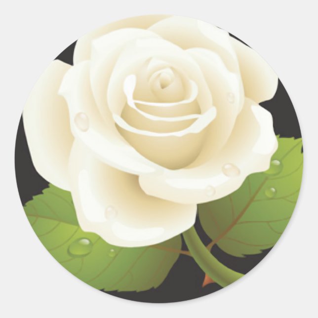 Adesivo Uma Rosa Branca (Frente)