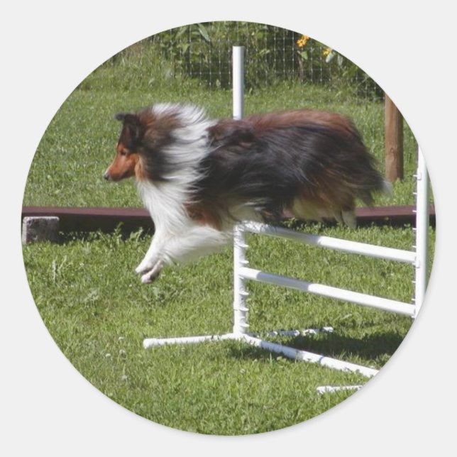 Adesivo Uma Sheltie Limpa o Bar (Frente)