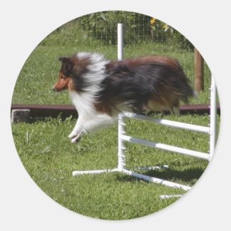 Adesivo Uma Sheltie Limpa o Bar