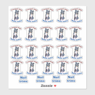 Adesivo unhas de cão aparado