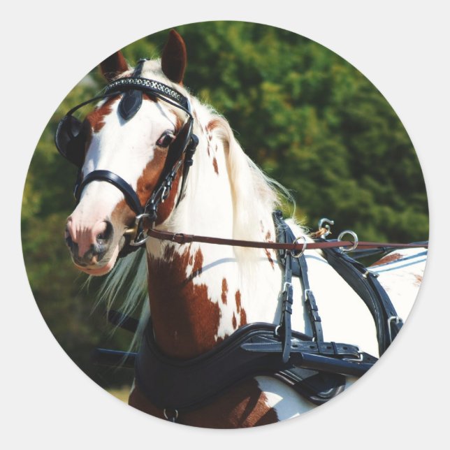 Adesivo unidade nacional (Frente)