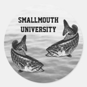Adesivo Universidade do Smallmouth - pesca da perda