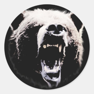 Adesivo Urso