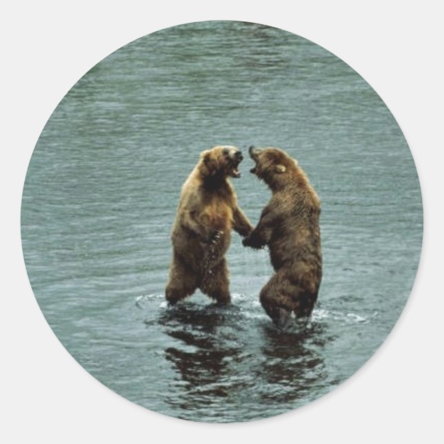 Adesivo Urso castanho-kodiak (Frente)