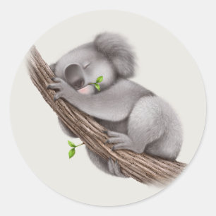 Adesivo Urso de Koala sonolento bonito