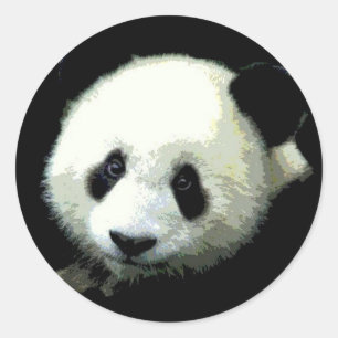Adesivo Urso de panda