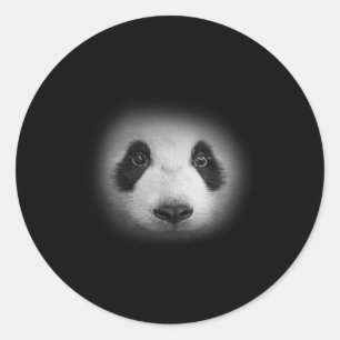 Adesivo Urso De Panda Para Amantes de os animais E Ursos B
