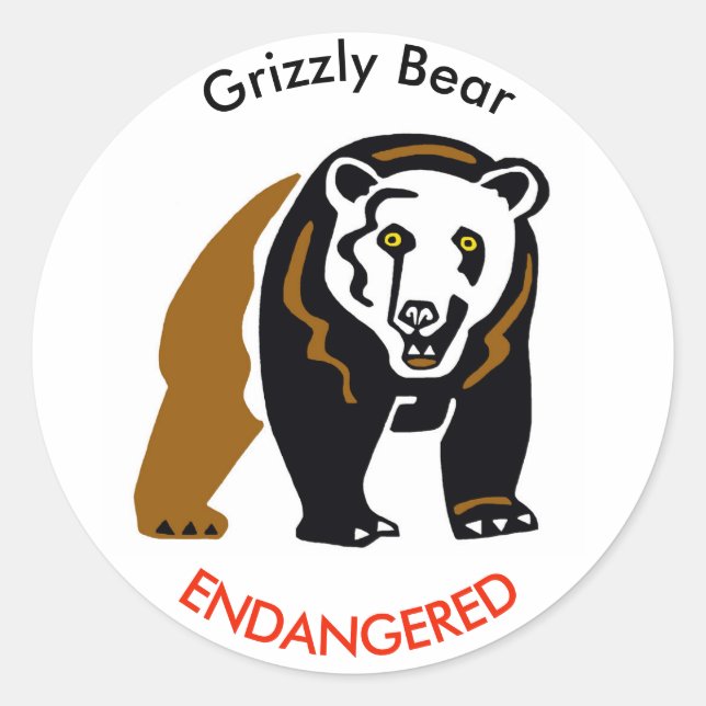 Adesivo Urso-grizzly selvagem - Ameaçado - Vida selvagem - (Frente)