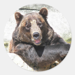Adesivo Urso Marrom Sorridente
