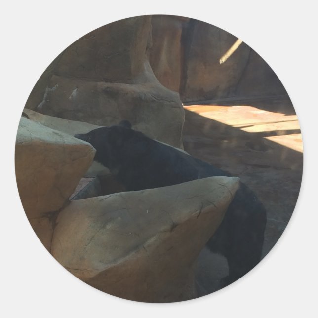 Adesivo Urso Negro Lindo Subindo (Frente)