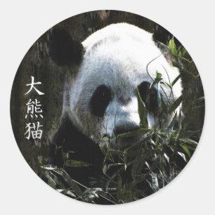 Adesivo Urso Panda Gigante Fofo com Folhas de Bambu Saboro