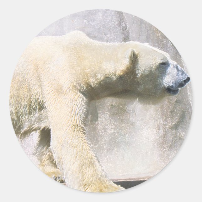 Adesivo urso polar (Frente)
