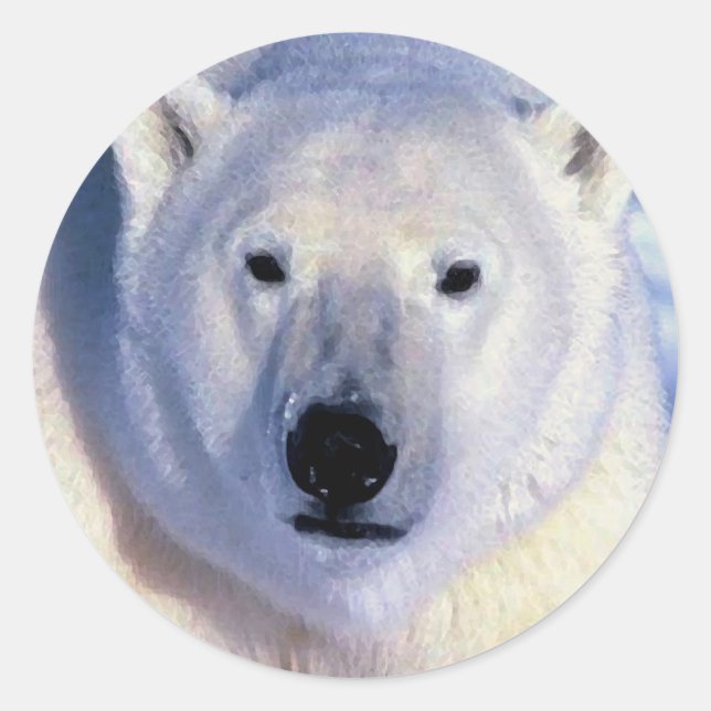 Adesivo Urso Polar (Frente)