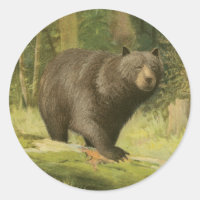 Urso Preto a Passar num Tronco de Árvore