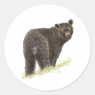 Adesivo Urso preto bonito,    natureza animal, animais