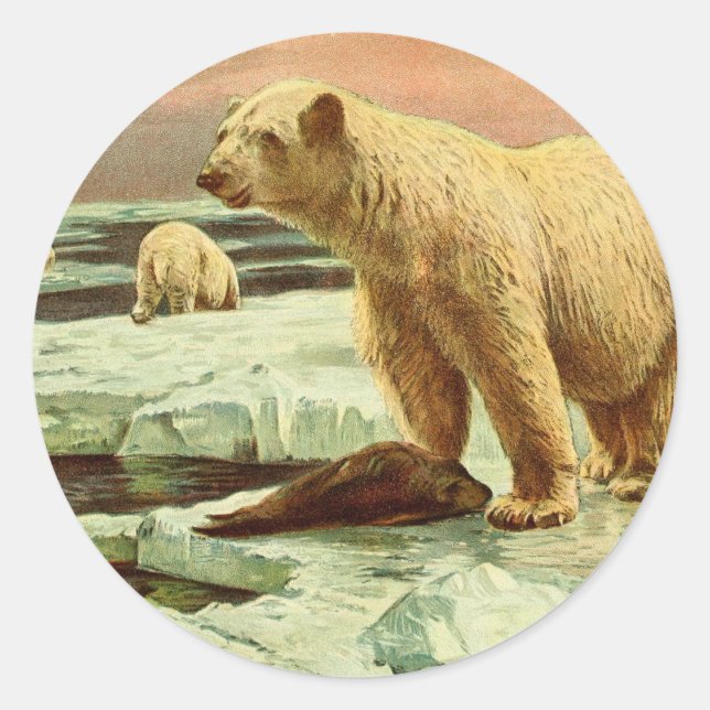 Adesivo ursos polares em geleiras Desenho artístico da déc (Frente)