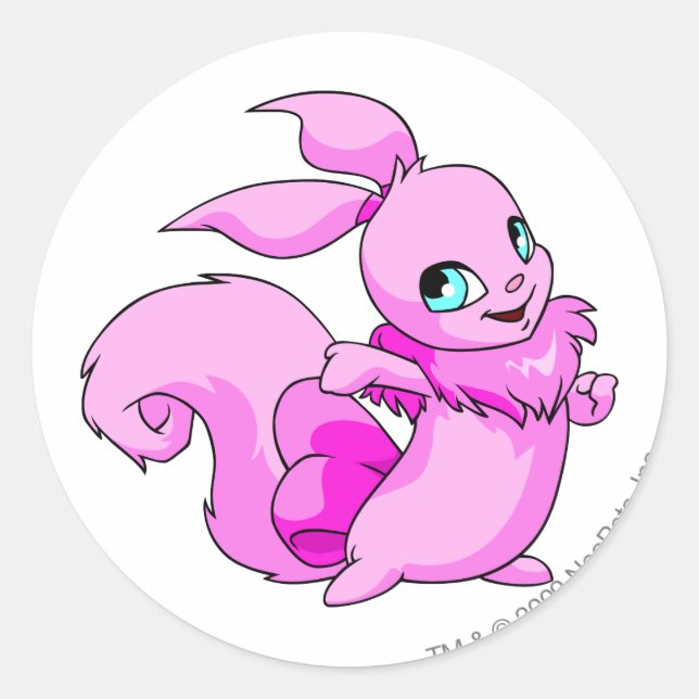 Adesivo Usul Pink (Frente)