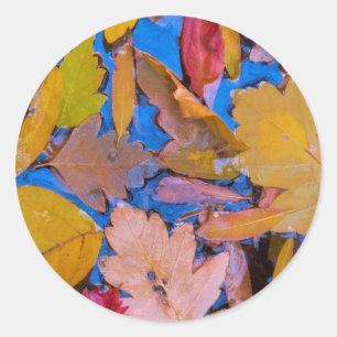 Adesivo Utah, área de reconstrução nacional de Glen Can