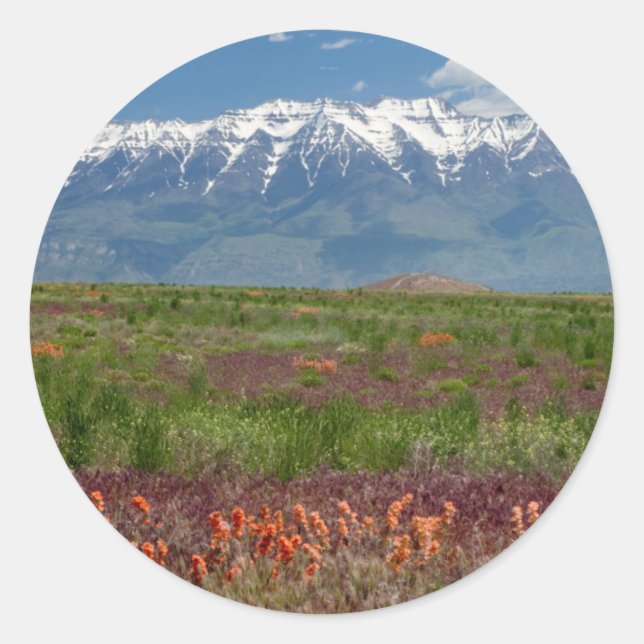 Adesivo Utah, EUA. O Monte Timpanogos se Eleva (Frente)