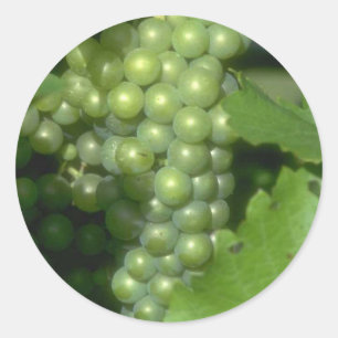 Adesivo Uvas