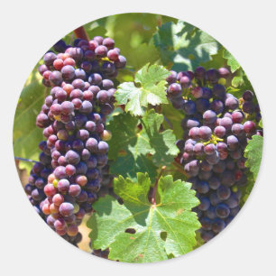 Adesivo Uvas