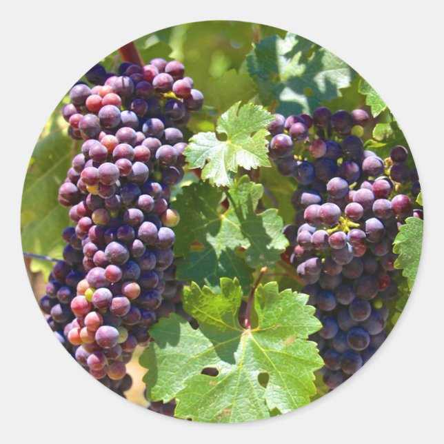 Adesivo Uvas (Frente)