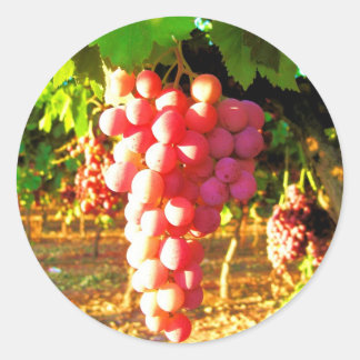 Adesivo Uvas da Califórnia