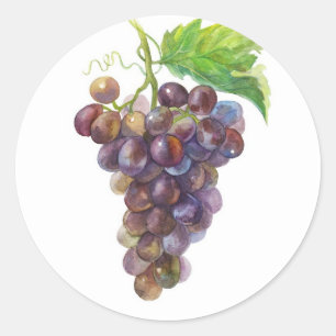 Adesivo Uvas Douradas Roxas – Aquarela Botânica