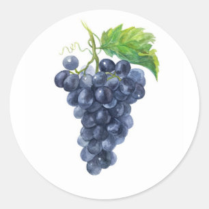 Adesivo Uvas Pretas Azuis – Arte de Vinhedo em Aquarela