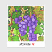 Uvas roxas em toranja