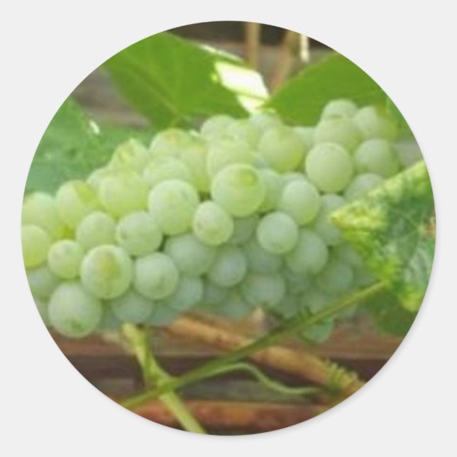 Adesivo Uvas Verdes da Califórnia (Frente)