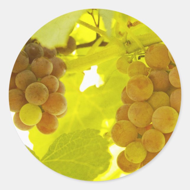 Adesivo Uvas Vinha Arte Fina (Frente)