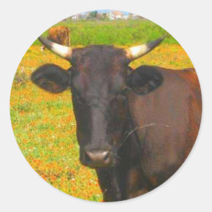 Adesivo Vaca