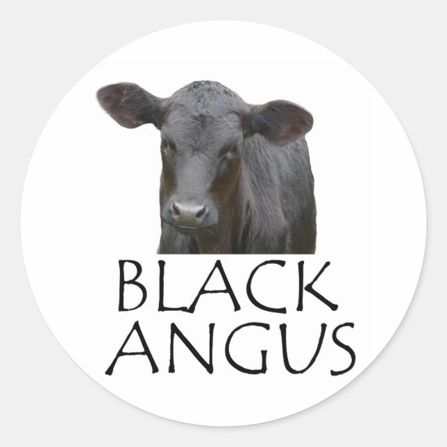 Adesivo Vaca Angus Negra (Frente)